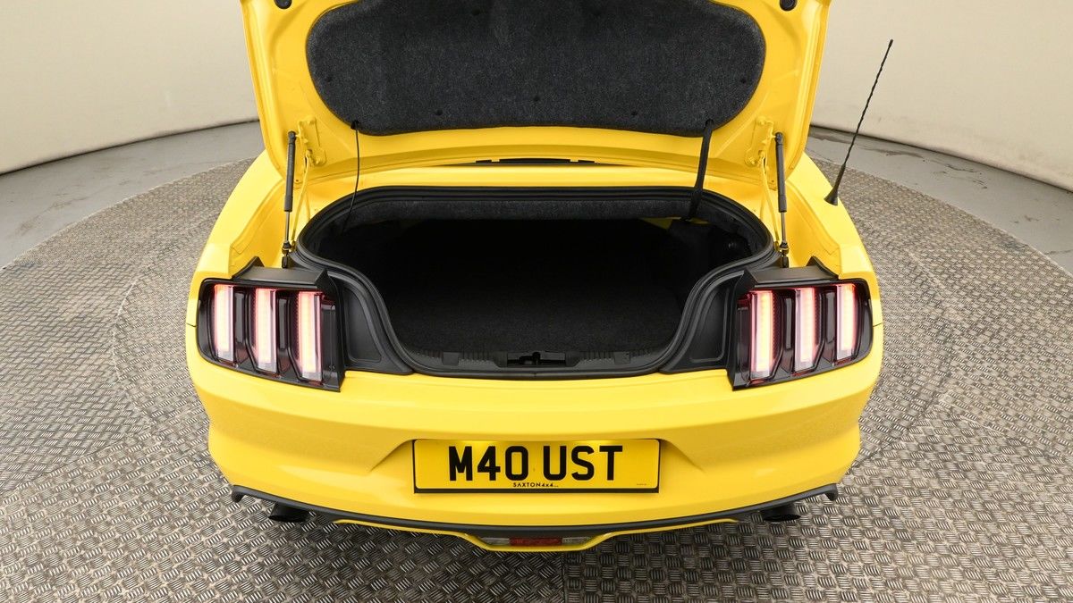 Ford Mustang Image 10